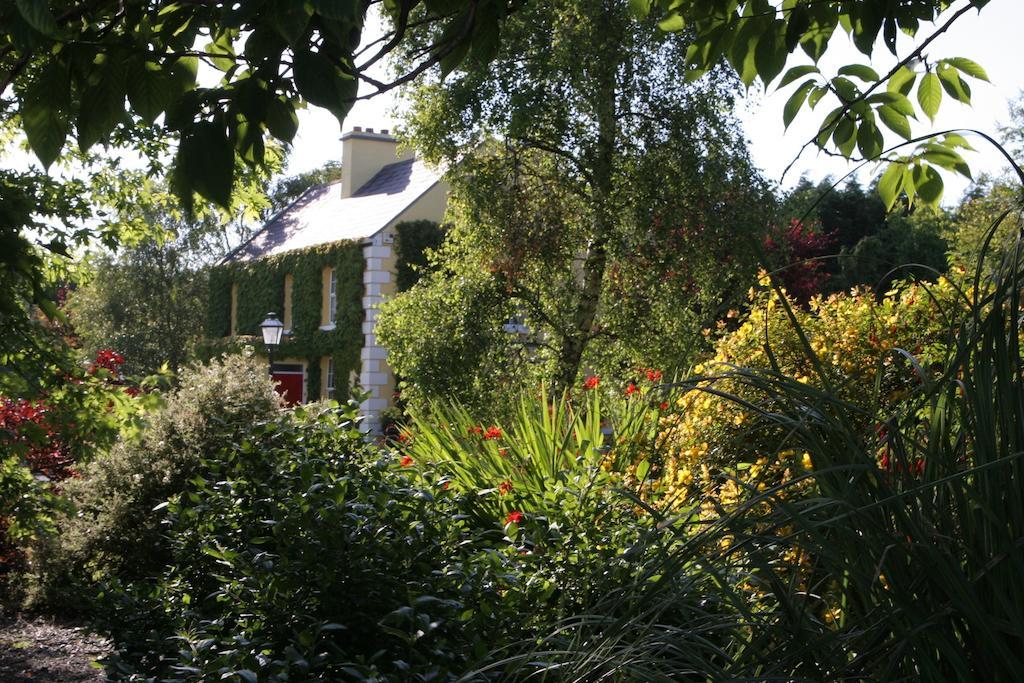 Friars Quarter House Bed & Breakfast Ballinrobe Bagian luar foto