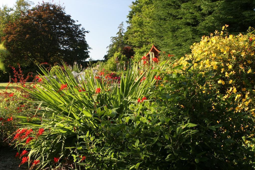 Friars Quarter House Bed & Breakfast Ballinrobe Bagian luar foto