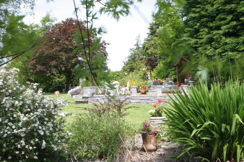 Friars Quarter House Bed & Breakfast Ballinrobe Bagian luar foto